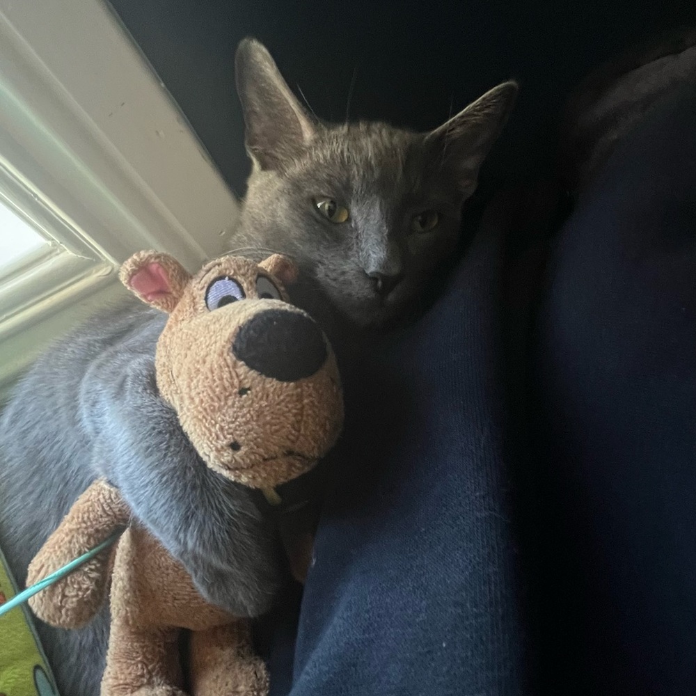 Meet your Posher, Jayden